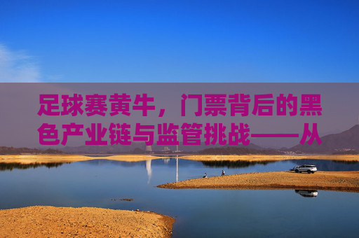 足球赛黄牛,门票背后的黑色产业链与监管挑战——从需求到乱象的深层剖析