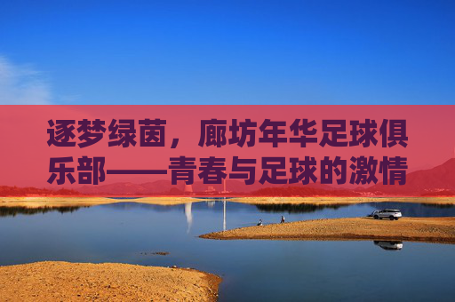 逐梦绿茵,廊坊年华足球俱乐部——青春与足球的激情碰撞,逐梦绿茵,廊坊年华足球俱乐部——青春与足球的激情碰撞