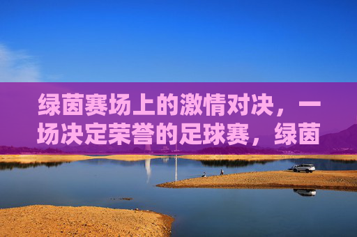 绿茵赛场上的激情对决,一场决定荣誉的足球赛,绿茵赛场激情对决,荣誉之战