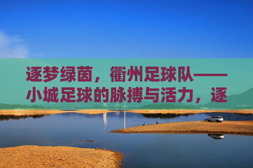 逐梦绿茵，衢州足球队——小城足球的脉搏与活力，逐梦绿茵，衢州足球队——小城足球的脉搏与活力