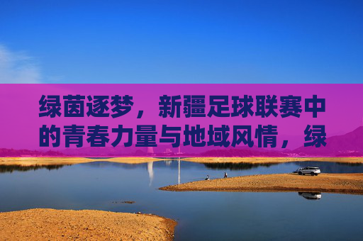 绿茵逐梦，新疆足球联赛中的青春力量与地域风情，绿茵逐梦，新疆足球联赛中的青春力量与地域风情