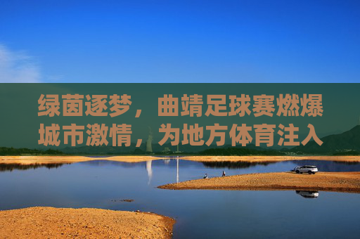绿茵逐梦,曲靖足球赛燃爆城市激情,为地方体育注入新活力,绿茵逐梦,曲靖足球赛燃爆城市激情,为地方体育注入新活力