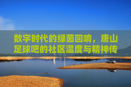 数字时代的绿茵回响,唐山足球吧的社区温度与精神传承
