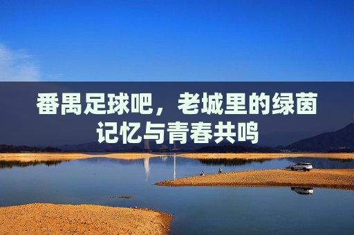 番禺足球吧,老城里的绿茵记忆与青春共鸣