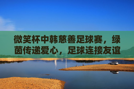 微笑杯中韩慈善足球赛，绿茵传递爱心，足球连接友谊