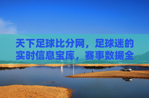 天下足球比分网，足球迷的实时信息宝库，赛事数据全解析，天下足球比分网，足球迷的实时信息宝库，赛事数据全解析
