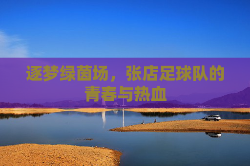 逐梦绿茵场，张店足球队的青春与热血
