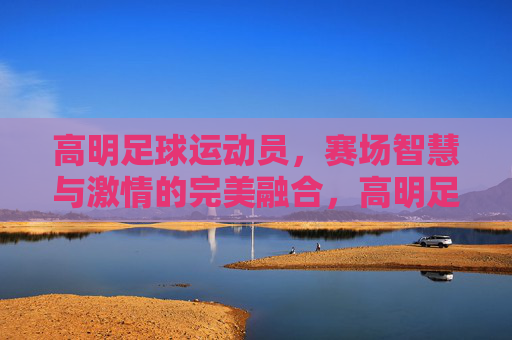 高明足球运动员，赛场智慧与激情的完美融合，高明足球运动员，赛场智慧与激情的完美融合