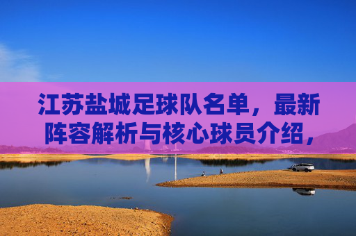 江苏盐城足球队名单,最新阵容解析与核心球员介绍,江苏盐城足球队最新名单,阵容解析与核心球员介绍