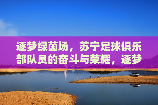 逐梦绿茵场，苏宁足球俱乐部队员的奋斗与荣耀，逐梦绿茵场，苏宁足球俱乐部队员的奋斗与荣耀