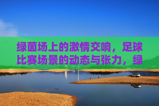 绿茵场上的激情交响，足球比赛场景的动态与张力，绿茵场上的激情交响，足球比赛的动态与张力