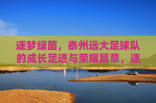 逐梦绿茵，泰州远大足球队的成长足迹与荣耀篇章，逐梦绿茵，泰州远大足球队的成长足迹与荣耀篇章