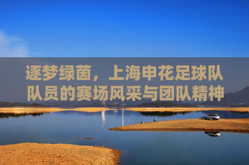 逐梦绿茵，上海申花足球队队员的赛场风采与团队精神，逐梦绿茵，上海申花足球队队员的赛场风采与团队精神