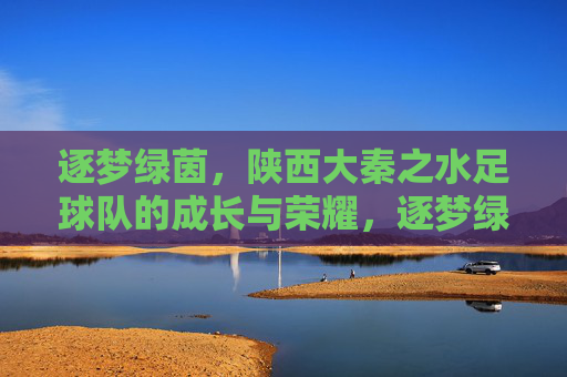逐梦绿茵，陕西大秦之水足球队的成长与荣耀，逐梦绿茵，陕西大秦之水足球队的成长与荣耀