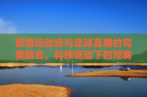 智慧运动场与足球直播的完美融合，科技驱动下的观赛新体验，智慧运动场与足球直播的完美融合，科技驱动下的观赛新体验