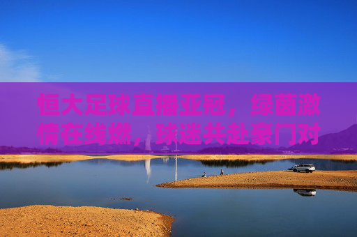 恒大足球直播亚冠，绿茵激情在线燃，球迷共赴豪门对决，恒大足球直播亚冠，绿茵激情在线燃，球迷共赴豪门对决