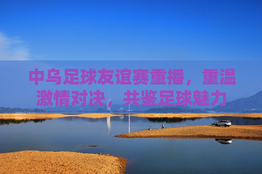 中乌足球友谊赛重播,重温激情对决,共鉴足球魅力
