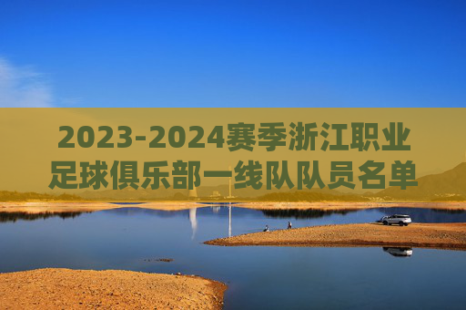 2023-2024赛季浙江职业足球俱乐部一线队队员名单详解,阵容构成与未来展望,2023-2024赛季浙江职业足球俱乐部一线队队员名单详解,阵容构成与未来展望