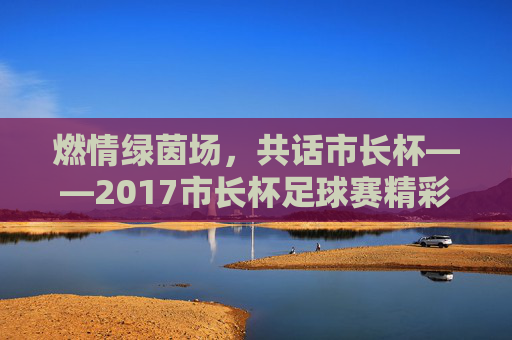 燃情绿茵场，共话市长杯——2017市长杯足球赛精彩回眸，燃情绿茵场，共话市长杯——2017市长杯足球赛精彩回眸