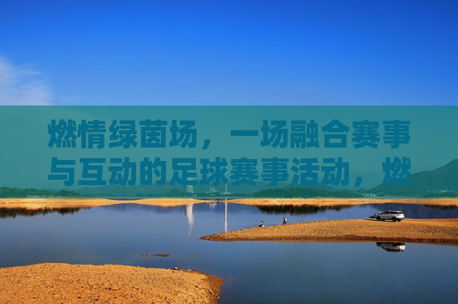 燃情绿茵场，一场融合赛事与互动的足球赛事活动，燃情绿茵场，一场融合赛事与互动的足球活动