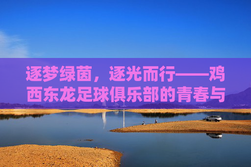 逐梦绿茵,逐光而行——鸡西东龙足球俱乐部的青春与力量,逐梦绿茵,逐光而行——鸡西东龙足球俱乐部的青春与力量