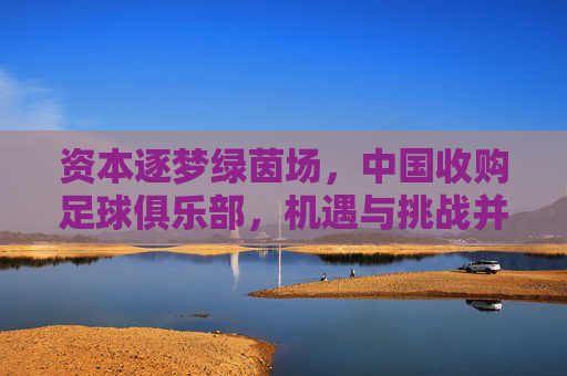 资本逐梦绿茵场，中国收购足球俱乐部，机遇与挑战并存的时代图景