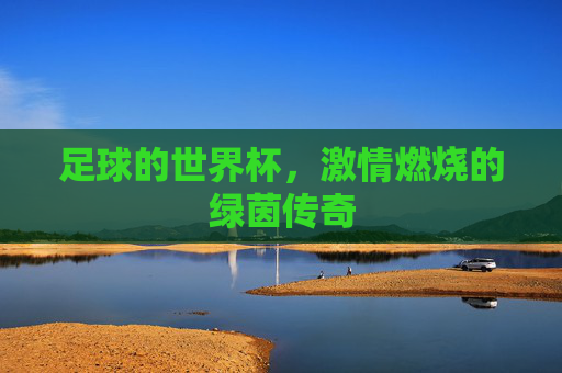 足球的世界杯，激情燃烧的绿茵传奇