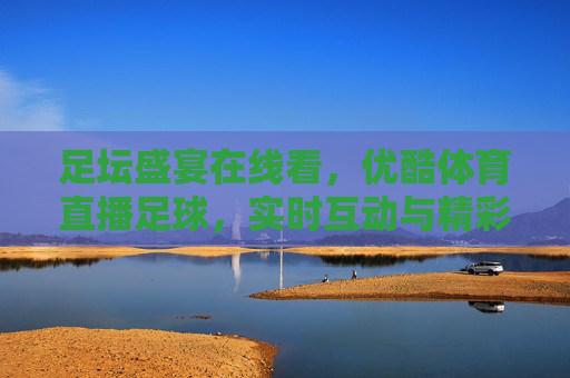 足坛盛宴在线看，优酷体育直播足球，实时互动与精彩回放的完美结合