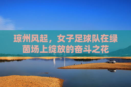 琼州风起,女子足球队在绿茵场上绽放的奋斗之花