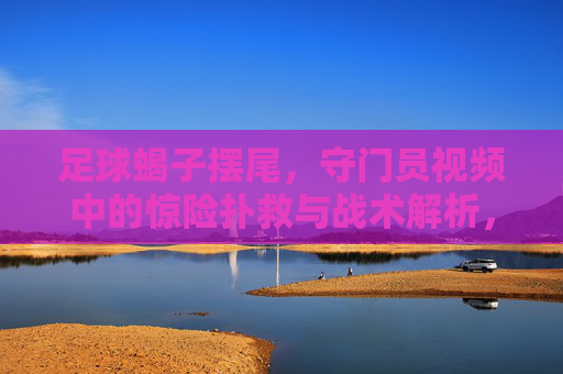 足球蝎子摆尾，守门员视频中的惊险扑救与战术解析，足球蝎子摆尾，守门员惊险扑救与战术解析