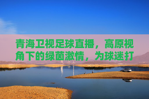 青海卫视足球直播，高原视角下的绿茵激情，为球迷打造沉浸式观赛盛宴