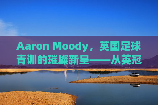 Aaron Moody,英国足球青训的璀璨新星——从英冠赛场到英超的竞技突破,Aaron Moody,英国足球青训的璀璨新星——从英冠赛场到英超的竞技突破