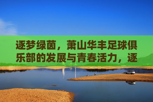 逐梦绿茵，萧山华丰足球俱乐部的发展与青春活力，逐梦绿茵，萧山华丰足球俱乐部的发展与青春活力