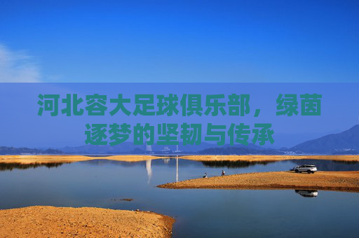 河北容大足球俱乐部，绿茵逐梦的坚韧与传承