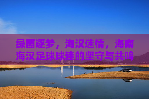 绿茵逐梦，海汉迷情，海南海汉足球球迷的坚守与共鸣，绿茵逐梦，海汉迷情，海南海汉足球球迷的坚守与共鸣