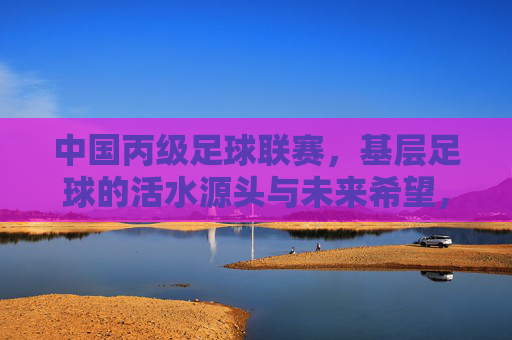 中国丙级足球联赛，基层足球的活水源头与未来希望，中国丙级足球联赛，基层足球的活水源头与未来希望