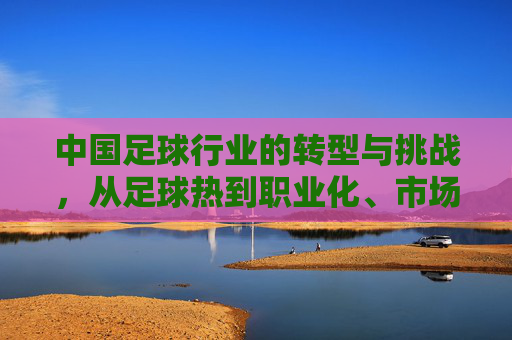 中国足球行业的转型与挑战，从足球热到职业化、市场化的深度探索，中国足球行业转型与挑战，从足球热到职业化、市场化的深度探索