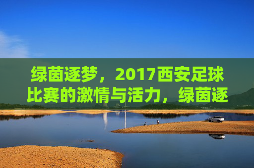 绿茵逐梦，2017西安足球比赛的激情与活力，绿茵逐梦，2017西安足球比赛的激情与活力