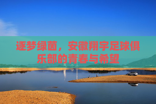 逐梦绿茵，安徽翔宇足球俱乐部的青春与希望