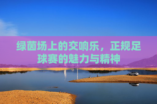绿茵场上的交响乐，正规足球赛的魅力与精神