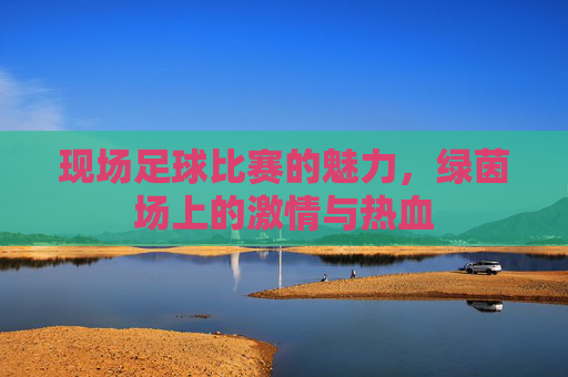现场足球比赛的魅力，绿茵场上的激情与热血