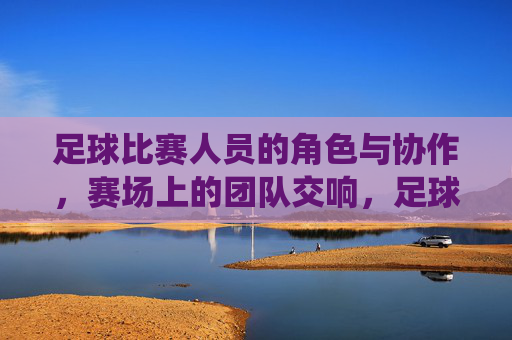 足球比赛人员的角色与协作,赛场上的团队交响,足球赛场,角色协作与团队交响的动态演绎