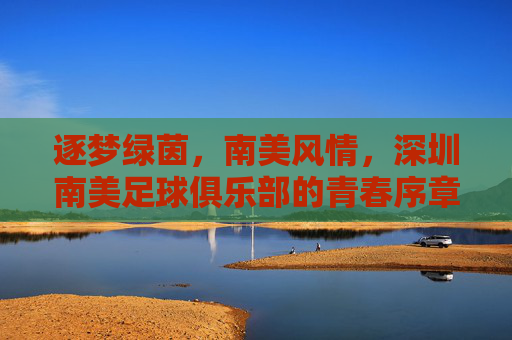 逐梦绿茵,南美风情,深圳南美足球俱乐部的青春序章