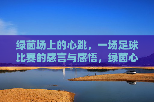 绿茵场上的心跳，一场足球比赛的感言与感悟，绿茵心跳，一场足球比赛的感言与感悟
