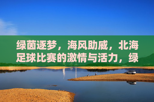 绿茵逐梦,海风助威,北海足球比赛的激情与活力,绿茵逐梦,海风助威,北海足球比赛的激情与活力