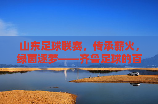 山东足球联赛,传承薪火,绿茵逐梦——齐鲁足球的百年发展脉络与时代新篇