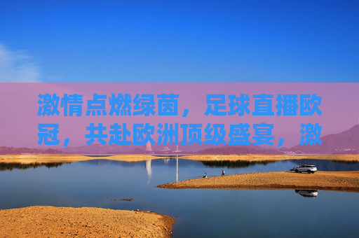 激情点燃绿茵，足球直播欧冠，共赴欧洲顶级盛宴，激情点燃绿茵，足球直播欧冠，共赴欧洲顶级盛宴