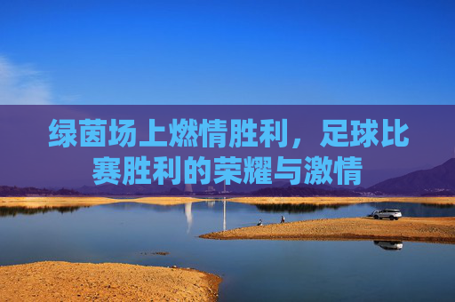 绿茵场上燃情胜利,足球比赛胜利的荣耀与激情