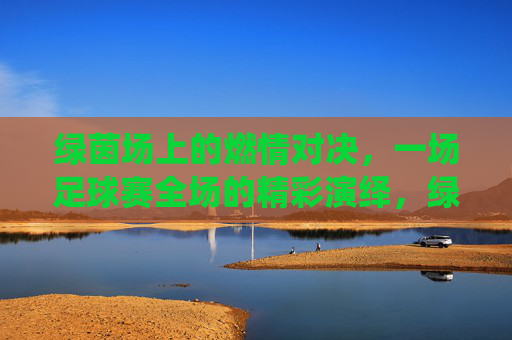 绿茵场上的燃情对决，一场足球赛全场的精彩演绎，绿茵燃情对决，足球赛全场精彩演绎