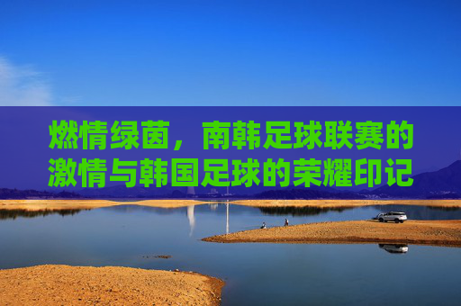 燃情绿茵，南韩足球联赛的激情与韩国足球的荣耀印记，燃情绿茵，南韩足球联赛的激情与韩国足球的荣耀印记